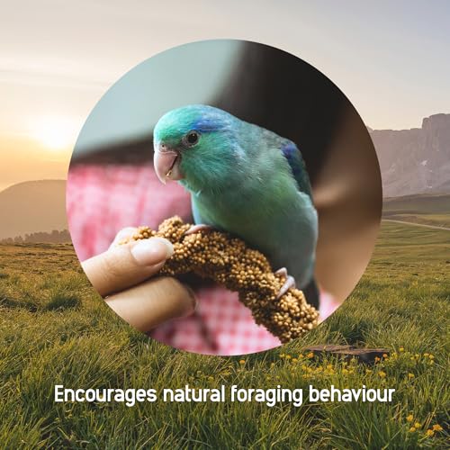 Living World Millet Spray for Birds, 17.6 Oz | Premium Treat for Budgies, Canaries, Finches, Cockatiels and Other Pet Birds - size: 1.1 Pound (Pack of 1)