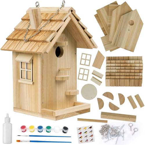 DIY Birdhouse Kit, Wooden Bird House for Adults to Build, DIY Bird House for Outside, Outdoor Woodworking Adult Crafts