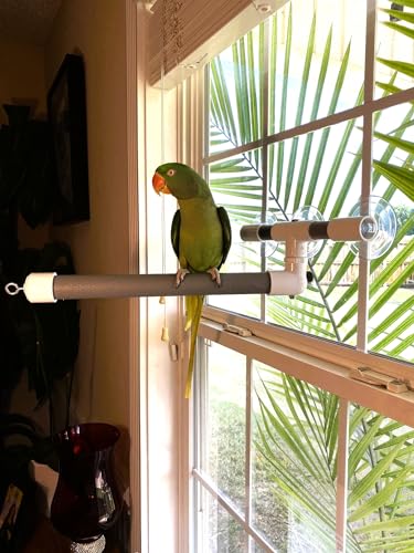 Polly's Portable Window-Shower Perch with Suction Cups for Cockatiels, Macaws, African Greys (Deluxe, Large) - size: Large
