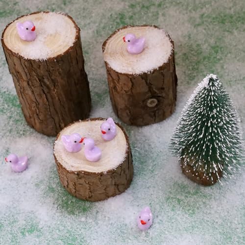 100 Pcs Mini Resin Ducks Tiny Ducks Miniature Duckies Bulk Figures for Garden Micro Landscape Home Prank Game Micro Landscape Aquarium Dollhouse Ornament DIY Handmade School (Light Purple) - color: Light Purple