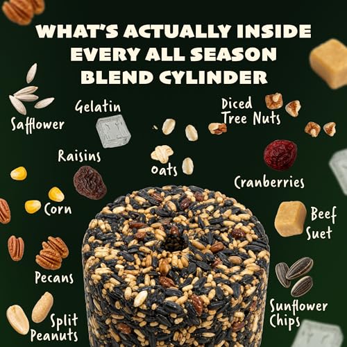 JCs Wildlife All Season Blend Bird Seed Cylinder with Hole, Suet Safflower Pecans Wild Bird Food for Outside Feeders, Cardinals Woodpeckers Chickadees Nuthatches, Made in the USA, 1.75 lb, Pack of 6