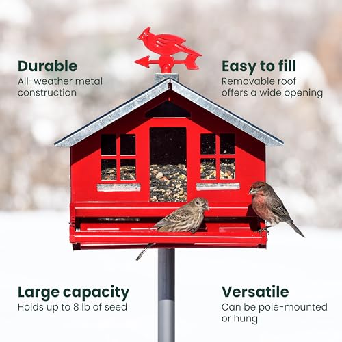 Perky-Pet Squirrel-Be-Gone II Country Style Bird Feeder, 8 lb Seed Capacity | Weight-Activated, Squirrel Proof, Metal Construction, Rust Resistant, Locking Lid, Removable Roof, Adjustable Settings, 338