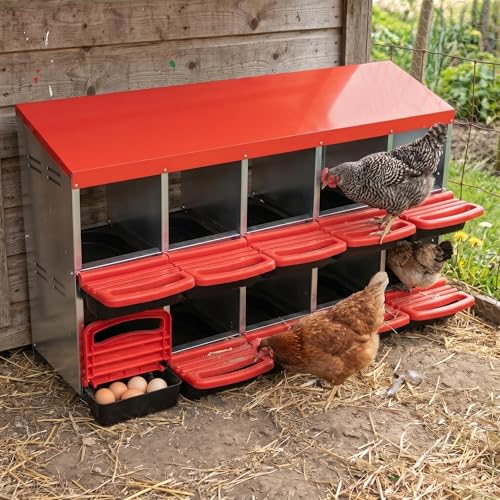 GarveeTech 10-Hole Poultry Nesting Box with Egg Collection Tray, Chicken Laying Box with Ventilation Design for Hens & Ducks, Ideal for Backyard Coops and Small Farms - color: Red, size: 10 holes
