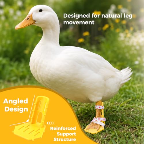 8PCS Poultry Leg Splint & Hobble Bands – Reusable Chick Leg Support Sleeves for Splayed/Curled Toes – Washable Farm Husbandry Leg Protection Ties for Chicken Duck Goose (4-Size Set)