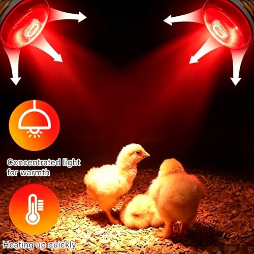 2 Pack 250W Chicken Heat Lamp Bulbs, Infrared Heat Lamp for Chickens, Heat Light Bulb for Brooder Coop, Food Service, Chicks, Pet, Reptile