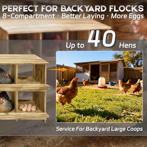8 Holes Wood Nesting Boxes for Chickens, Gold Standard Two-Tier Chickens Nesting Box for Laying Eggs, Farmhouse Series Laying Boxes for Hens, Ducks and Birds - color: Wooden 8-Hole