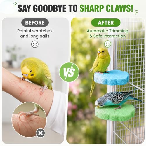 2 Pcs Bird Beak & Claw Trimming Stone, Rough Pumice Perch for Small Birds | Non-Slip Rough Pumice Stone Perch for Beak & Claw Trimming, Ideal for Cockatiels, Lovebirds, Conures & Small Birds