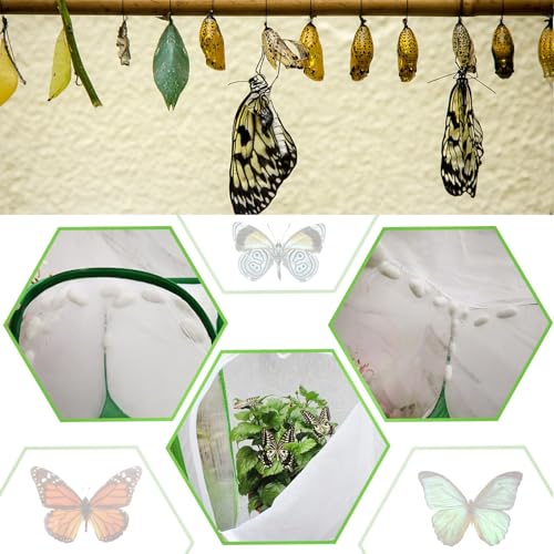 EATAKWARD Mesh Plant Enclosure, 15.7'' X 15.7'' X 2'' Pop-Up Foldable Mesh Cage for Breeding, Grow Tent Plant Cover for Fruit, Vegetables, Pests, Bird and Pest Protection Guard for Flowers and Herbs - size: 15.7'' X 15.7'' X 2''