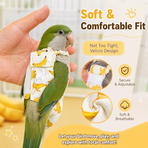 Medium Bird Diaper and Leash Set with Harness | Eclectus/ African Grey/Caique/Senegal Parrot Diaper Leash, Medium Bird Flight Suit Set for Outdoor Flying & Training (L)