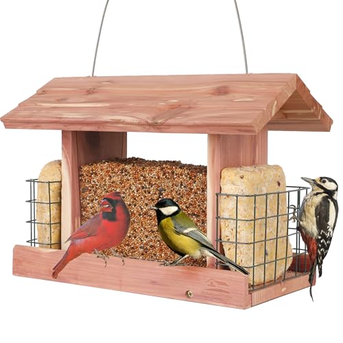 Solution4Patio US Cedar Hopper Bird Feeder for Outdoors Hanging, Handcrafted Wood Double Suet Cage & Clear View Windows, Squirrel-Proof Wild Bird Feeder for Cardinals, Finches, Chickadees - style: Rectangle