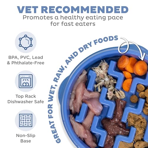 Outward Hound Fun Feeder Slo Bowl – Medium 2‑Cup Capacity, Slow Feeding, Small to Medium Dogs & Cats, Non-Slip, Blue, Notch Pattern - color: Blue, size: Medium