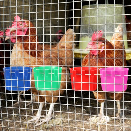 100 Pcs Cage Cups Chicken Feeder Cup 8 oz Hanging Bird Food Water Bowl Coop Bunny Cage Feeding Dish Game Fowl Supply for Poultry Pet Parrot Parakeet Rabbit Parakeet Pigeon(Blue, Red, Rose Red, Green) - color: Blue, Red, Rose Red, Green