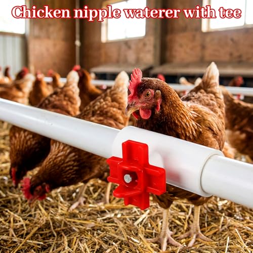 24 Pack Horizontal Chicken Water Nipples with 1/2'' PVC Tee Fittings Automatic Chicken Water Feeder Easy Install Chickens Nipples Waterer Horizontal Side Mount Poultry Nipple Waterer