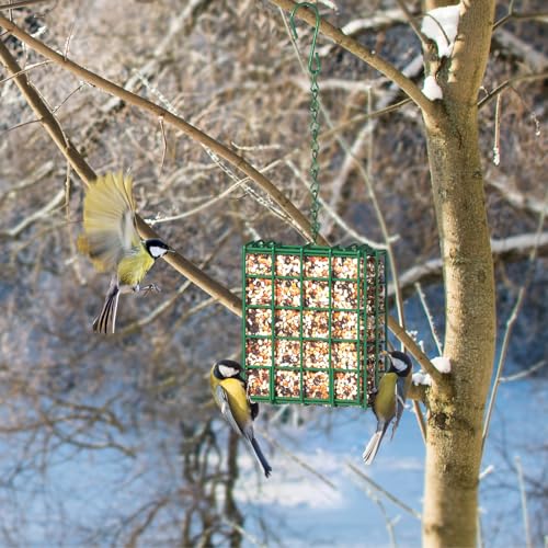Bird Feeder for Outdoors, Suet Feeder for Outside Hanging Suet Basket Cage | 2 Pack Hanging Bird Feeder Adjustable Chain Hanging for Garden Yard Outside - Suet Cake Feeders Squirrel Proof birdfeeder - style: 2 Packs
