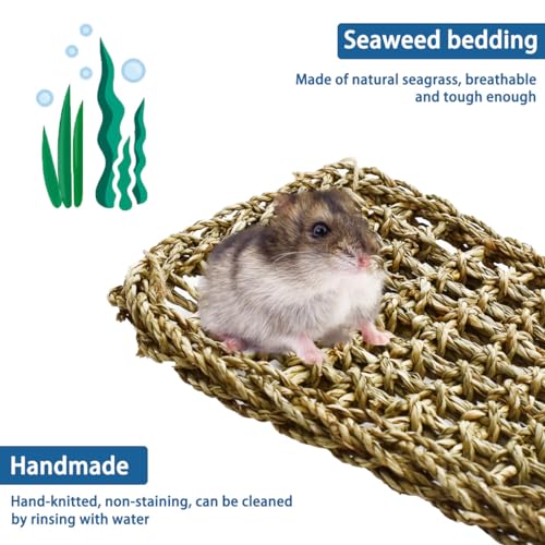 19.7 x 7.87 Bird Seagrass Mat Natural Seagrass Woven Net Rat Cage Accessories Bird Foraging Chew Wall Toys Climbing Rope Ladder Chew Toys for Parrots Cockatoos Lovebird Cockatiel Hamster Parakeet