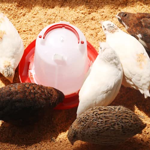 Chicken Feeder and Waterer Kit,1.5KG Feeder and 1.5L Waterer | 2-in-1 Chick Starter Set with 2 Hanging Hooks,Anti-Drown Poultry Waterer for Raising Chicks in Brooder