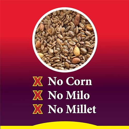 Wild Delight Advanced Formula Squirrel Away Zero Waste Wild Bird Food 5 lb | No fillers, premium ingredients, real chili peppers, zero-waste formula, wild bird feed for songbirds, deters squirrels - size: 5 Pound (Pack of 1), style: Squirrel Away 5lb