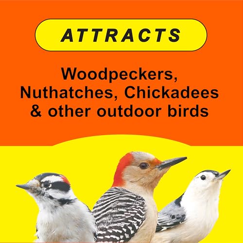 Wild Delight Woodpecker, Nuthatch N' Chickadee Food, 5 lb (364050) - size: 5 Pound (Pack of 1), style: Nuthatch N' Chickadee