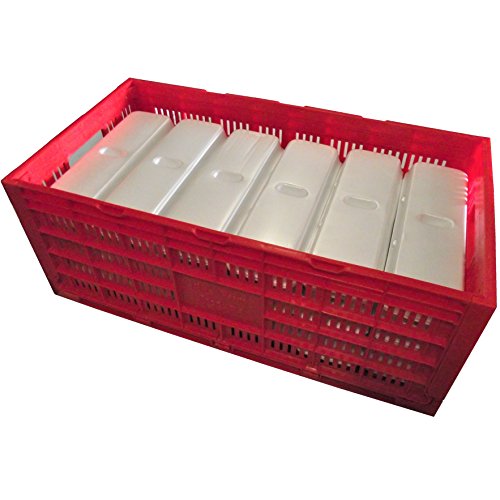 EGG TRAY CARTON TRANSPORT CRATE CHICKEN SHIPPING POULTRY CASE