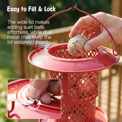 KOL Metal Suet Ball Feeder for Birds – Single-Layer Expandable Design Suet Bird Feeder, Heavy-Duty Wild Bird Feeder with Secure Lid, Large Capacity for Backyard (Red) - color: Red