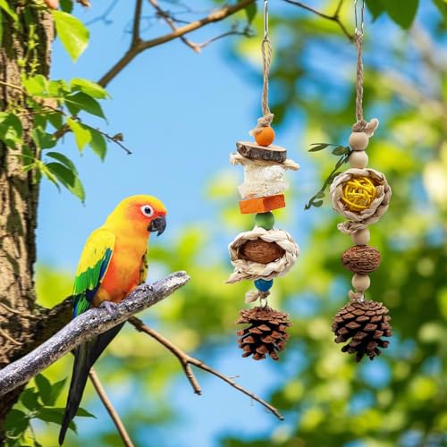 Natural Bird Chewing Toys with Pinecone Nuts and Corn, Wooden Cage Toy for Small to Medium Sun Conure Budgerigar Pacific Parrotlet