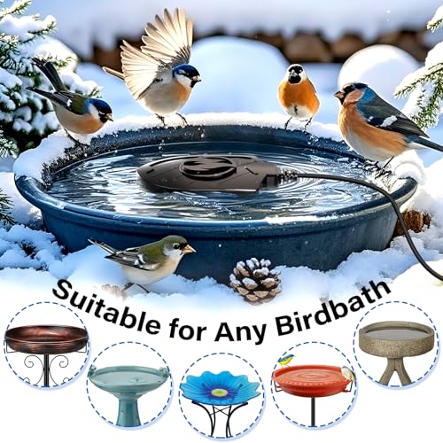 100W Bird Bath Heater, Birdbath Heaters for Outdoor Bird Bath Water Heater in Winter Submersible Thermostat Control, Heated Bird Bath Deicer for Outside Bird Chicken Poultry Livestock (Black) - color: Black