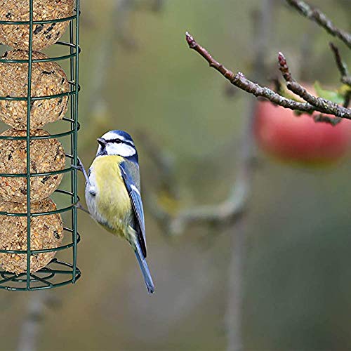Suet Ball Bird Feeder Outdoor Hanging Metal Wire Wild Bird Feeder Fat Ball Food Feeder (1)