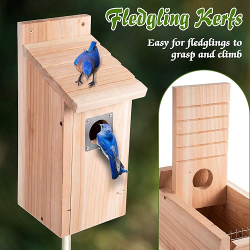 Dreyoo 2 Pack Bluebird Box Houses for Outside,1-1/2'' Entrance Hole Wooden Bird Houses with Metal Guard, Secure Latch,Fledgling Grooves,Air Vents for Bluebird Wren Swallow(Wood) - color: Wood