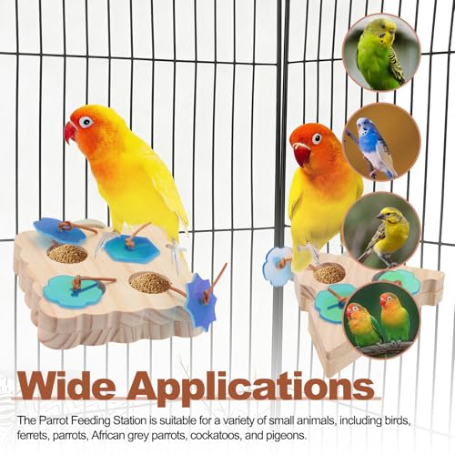 ASTIMESA 2 Packs Triangle & Square Parrot Foraging Feeder, Wooden Bird Enrichment Plaything Stand, Interactive Foraging Plaything for Birds Parakeet Pet Budgie Cockatiel Cage Feeding (Wooden)