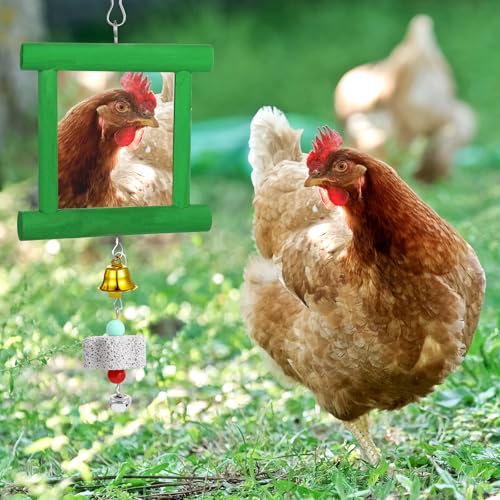 Chicken Mirror Toys with Bells, Hanging Swing Mirror, Wooden Pecking Toy, Beak Grinding Molar Stones for Hens, Birds, Parrots, Xylophone, Sepak Takraw Toy