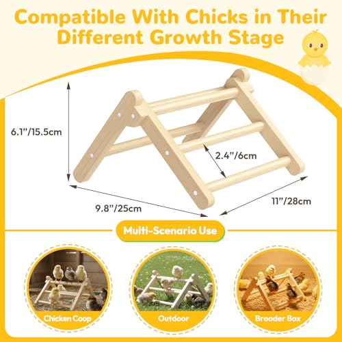 Chick Perch Foldable, Perch for Chicks Stable & No Assemble | Chick Roosting Perch for Stand Training, 11.02" × 9.84" × 6.10" Baby Chick Toys for Chicken Brooder | Coop (M) - size: 11.02" × 9.84" × 6.10"