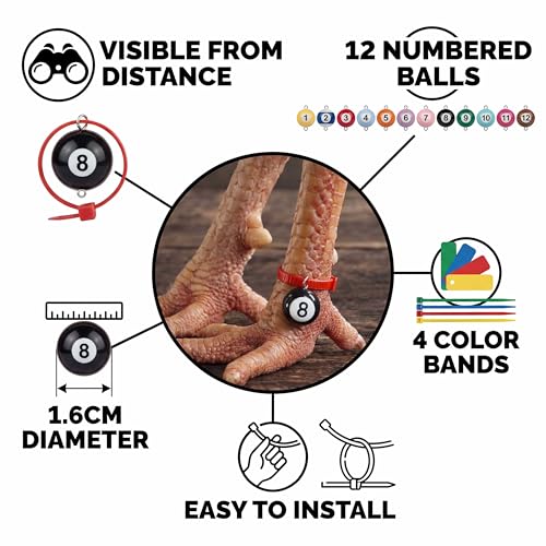 Colored & Numbered Chicken Leg Bands, 12 Billiard Ball Style, 1.6cm | Poultry Identification, Chicken & Goose Compatible, Colorful Rings