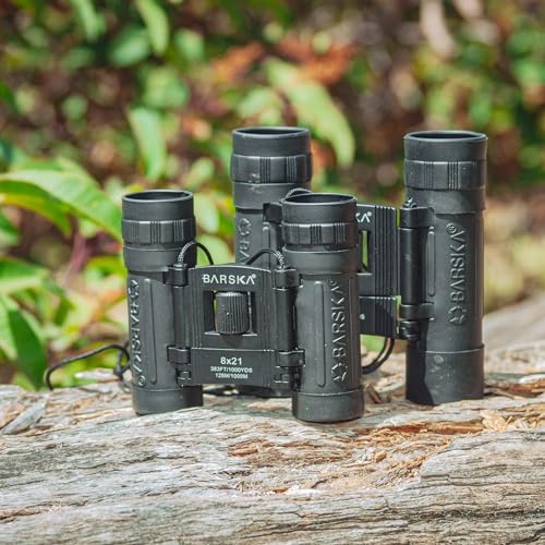 Barska Lucid View Compact Binoculars – Fully Coated Roof Prism, Center Focus, Lightweight Outdoor Binoculars for Bird Watching, Hiking, and Travel - size: 10x25