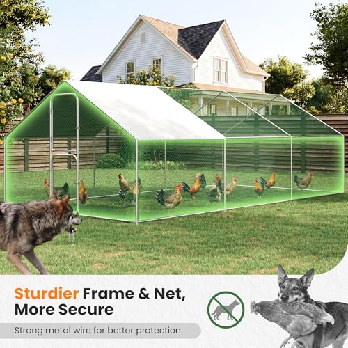 Large Walk in Chicken Run Metal Chicken Coops with Split-Door 10×20 FT | Outdoor Cage Peak Hen House for 20-30 Chickens, With Waterproof Hardware Cloth Cover,Spire Roof Hen House with Security Lock - size: 228.0"L x 119.0"W x 79.0"H