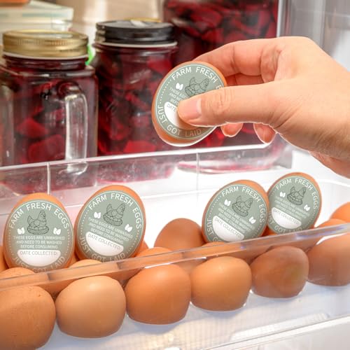 Colarr 500 Pcs Farm Fresh Eggs Carton Labels 2 Inch Egg Unwashed Handling Stickers Self Adhesive Writable Care Stickers Bulk Chicken Packaging Decal Sign for Chicken Quail Farmhouse Spring Holiday - style: Unwashed