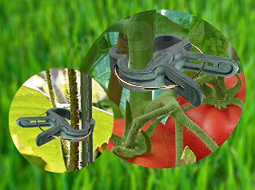 Plant Clips 40 Piece Green Gentle Gardening Plant & Flower Lever Loop Gripper Clips, Tool for Supporting or Straightening Plant Stems, Stalks, and Vines, Garden Clips, by RamPro - size: 40 pc