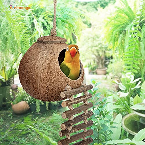 Niteangel Natural Coconut Hideaway with Ladder, Bird and Small Animal Toy (House with Ladder, Natural Surface) - color: Natural Surface