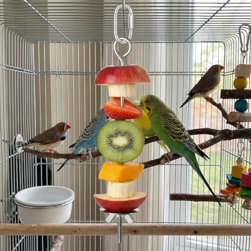Stainless Steel Bird Cage Food Holder Parrot Fruit Stick Parrot Fruit Vegetable Skewers, Millet Holder for Bird Cage for Parrots Budgie Cockatiel