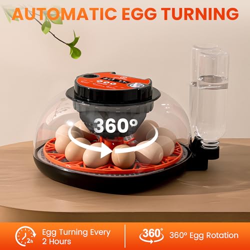 12 Egg Incubator for Hatching - Chicken, Duck, Quail & Goose – Automatic Egg Turner, Temperature & Humidity Control, Digital LED Display, Auto Water Refill System – Starter Kit with Plush Chick House