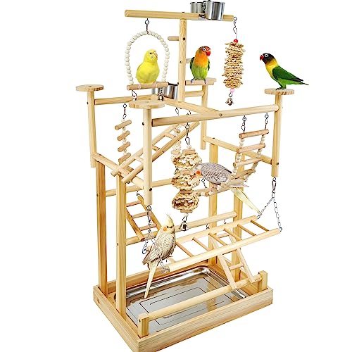 LIMIO Bird Playground - Natural Wood Parrot Playstand with Perches, Bird Play Gym & Accessories, Removable Tray & 4 Stainless Steel Cups