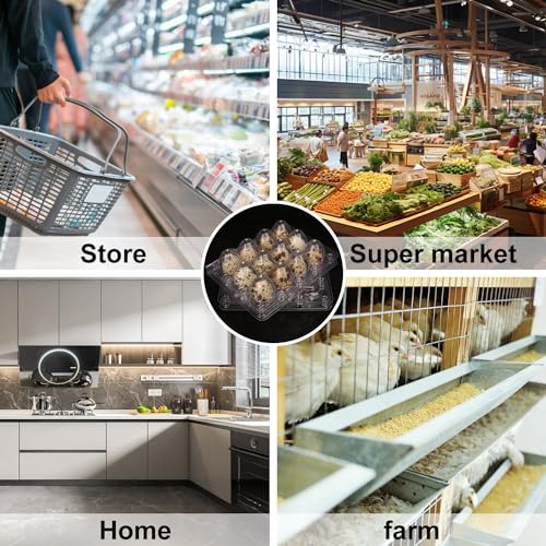 200 Pack Quail Egg Cartons, Clear Plastic Quail Egg Trays, Holds up to 12 Quail Eggs Securely - Your Ultimate Small Eggs Carton Holders for Bulk Storage and Display - size: 200 Pack Quail Egg Cartons 12 Grids