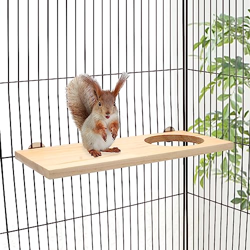 Wontee Bird Perch Stand Wooden Platform for Cockatiels Conures Rats Gerbils Chinchillas Squirrels (M1- with Hole) - size: M1- With Hole