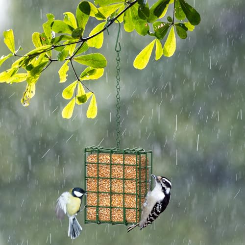 Bird Feeder for Outdoors, Suet Feeder for Outside Hanging Suet Basket Cage | 2 Pack Hanging Bird Feeder Adjustable Chain Hanging for Garden Yard Outside - Suet Cake Feeders Squirrel Proof birdfeeder - style: 2 Packs