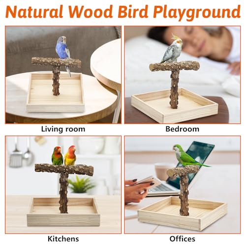 BNOSDM Portable Bird Perch Stand with Potty Tray, Natural Wood Tabletop Training Gym Parrot Playground Toy for Budgies, Cockatiels, Lovebirds,Conures - color: T-Shaped Bird Stand
