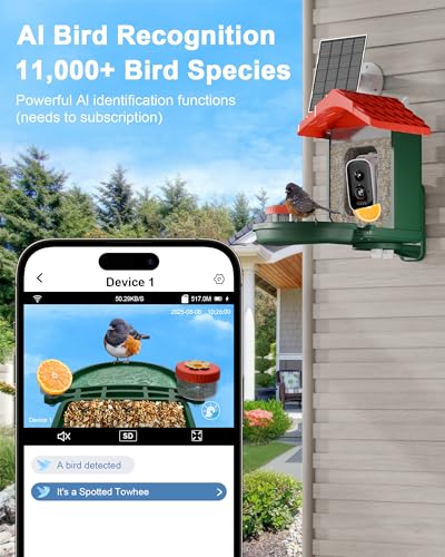 2-in-1 Smart Wild Bird Feeder & Bath with 4K HD Camera, AI Identification Solar Bird Feeder Watching Camera Night Vision for Outdoor Birds Watching Gifts for Birdlover, Red & Green - color: Red & Green