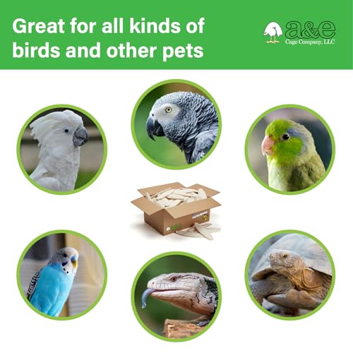 A&E Cage Co Captain Cuttlebone Natural Cuttlebone for Birds, 5 lb Bulk Box | Extra-Large Pieces, Natural Calcium Source, Supports Beak Trimming, For Breeders & Aviaries, 6-8 Inch