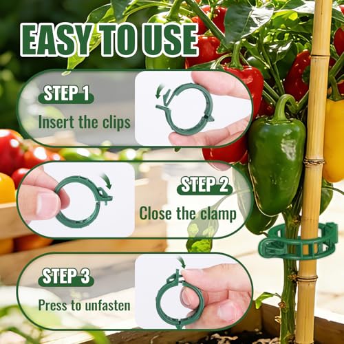 300Pcs Thickened Tomato Clips, Plant Support Clips Plastic Trellis Clips | Plant Clips for Grape Vine, Tomato Vine, Vegetable Plants, to Grow Upright Makes Plants Healthier, Green - color: Green