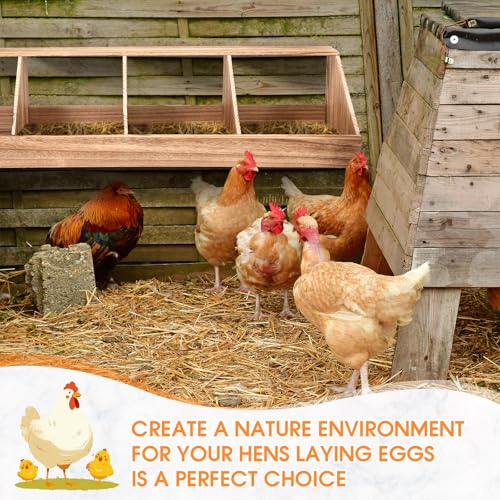CroBlissful Chicken Nesting Boxes, Chicken Laying Boxes Coop Accessories Roosting Laying with Liners Large Bedding for Hens Birds Duck Coop Poultry Habitat Supplies(4 Compartment)