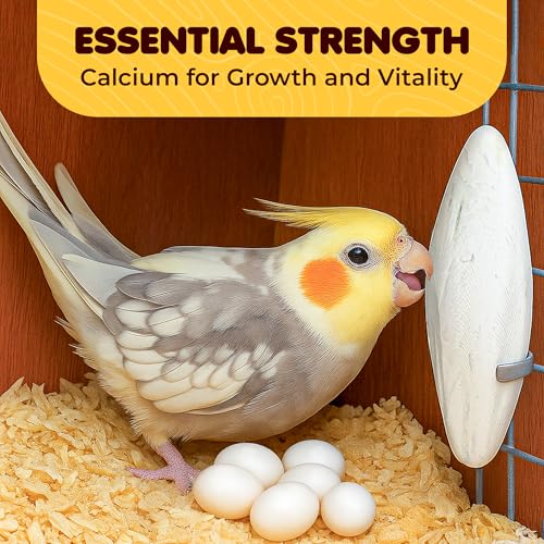 SunGrow 3 Pack Cockatiel Cuttlefish Bone, Calcium Addition to Bird Beak Care, Cage Mount Holder NOT Included, Support Shell Strength, Turtle, Shrimp, Dog, Snail, Aviary Clip, Accessory Reptile