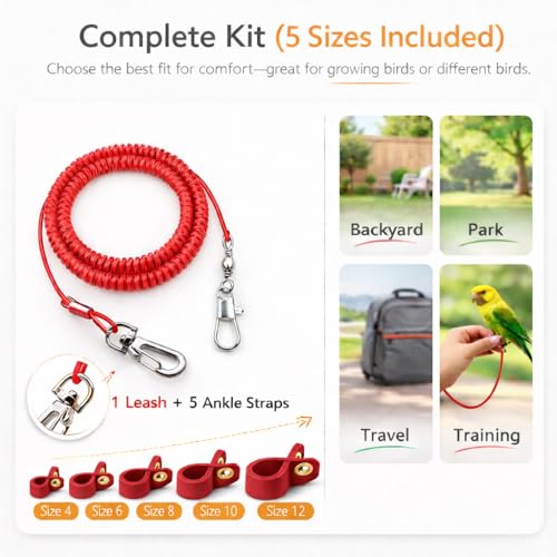 Bird Harness Leash Anti-bite Outdoor Red Flying Training Rope with 5pcs Different Sizes of Soft Foot Loops and Training Whistle(Upgraded Version of Ankle Ring)